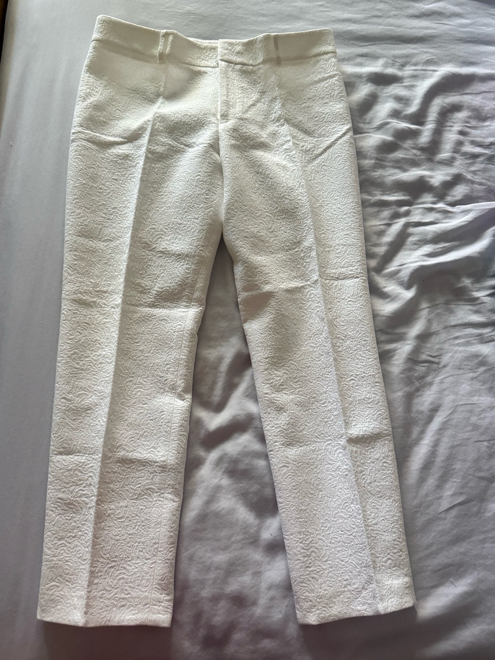 Club Monaco Cropped Pants